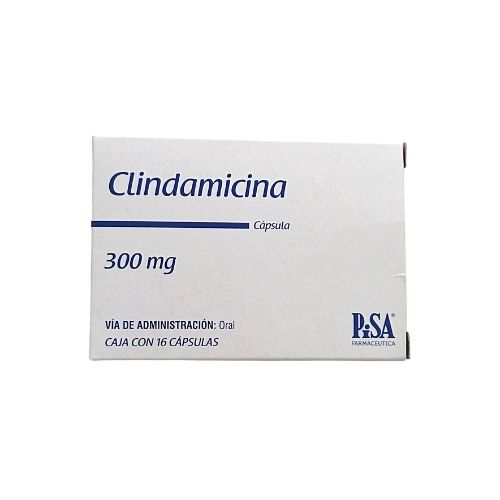 Clindamicina 300mg (1 comprimido)