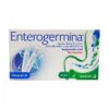 Enterogermina -ninos- ampollas bebibles (1 Ampolla)